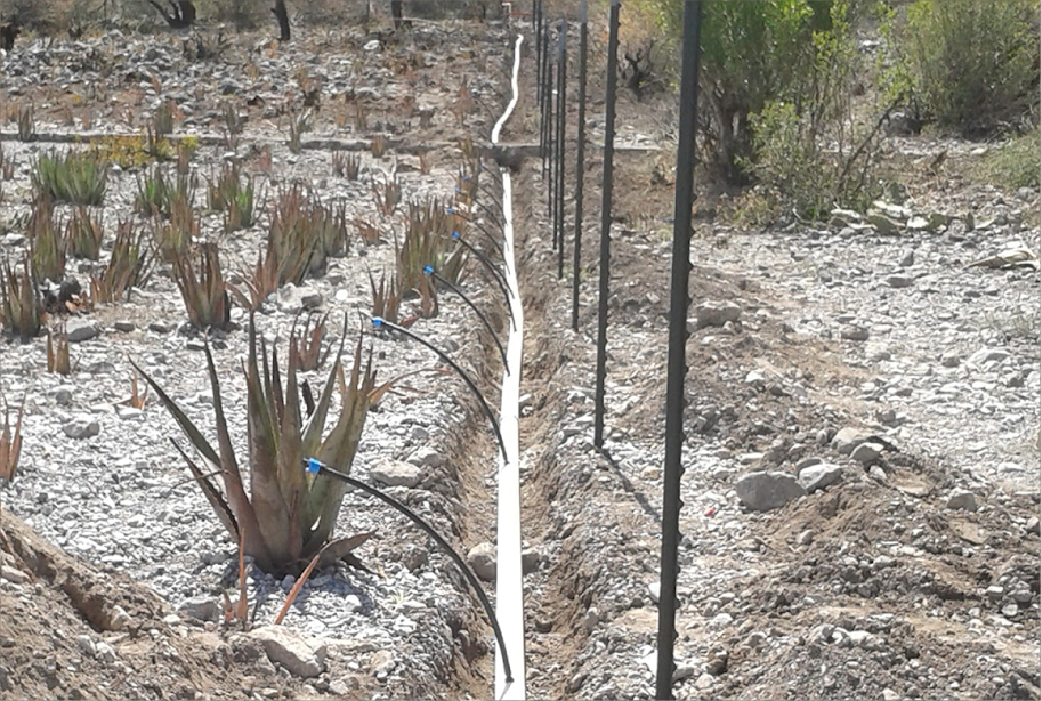 Remodelación de lugares comerciales